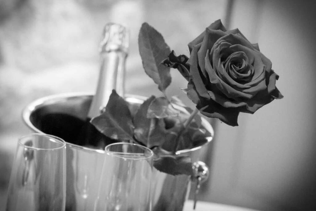 Gite Love Dream - Le Gite Romantique Ger  Ngoại thất bức ảnh